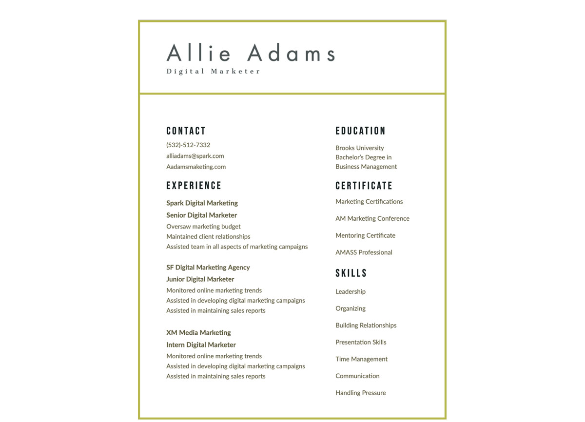 Marketing Visual Resume Template
