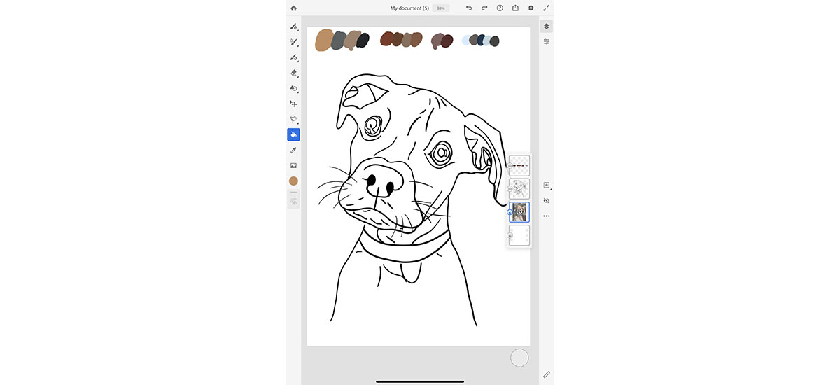 Color in outline